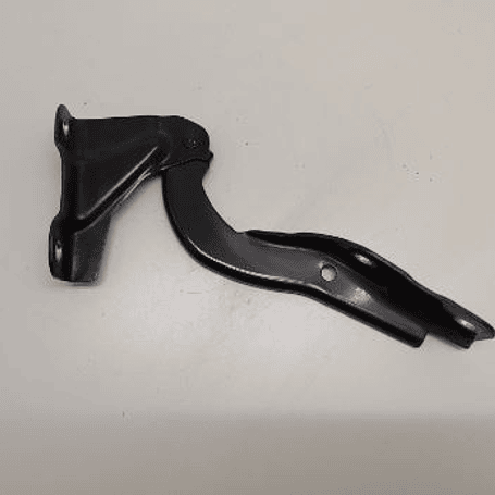 Bisagra Capot Izquierda (LH) 3