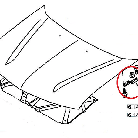 Bisagra Capot Izquierda (LH) 2