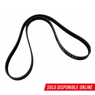 Correa de Dirección Hidráulica