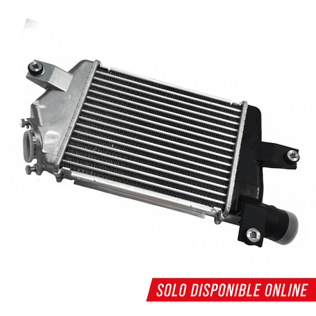 Intercooler 1