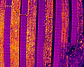 CURSO TERMOGRAFÍA AÉREA CON DRONES (Plantas Fotovoltaicas e Inspecciones de Estructuras eléctricas) - Miniatura 6