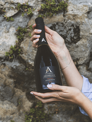 Ville D'Arfanta Prosecco Superiore DOC Treviso Brut