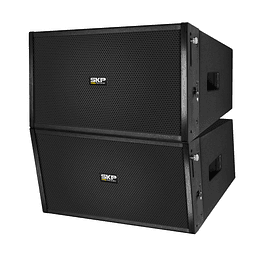 LINE ARRAY SKP VLS X10 DOS CAJAS