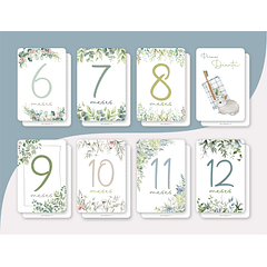 Tarjetas Meses Garden