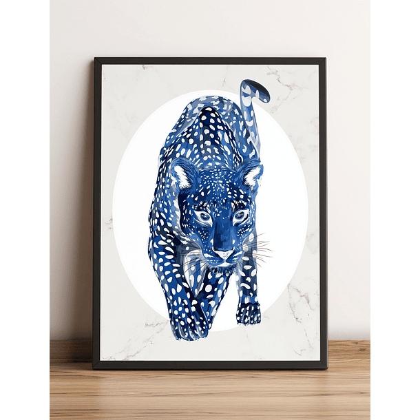 Leopardo 11