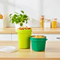 Set 3 Contenedores Verdes | Tapa Rosca | 550 ml y 950 ml - Miniatura 3