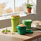 Set 3 Contenedores Verdes | Tapa Rosca | 550 ml y 950 ml - Miniatura 2