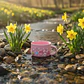 Taza de Cerámica Rosa My Melody Cap. 650 ml - Miniatura 6