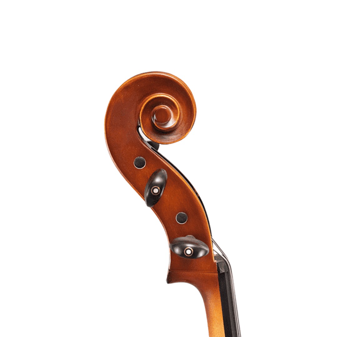 Cello 4/4 - Apresto Outfit 3