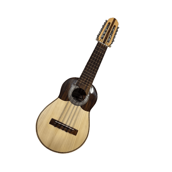 Charango Profesional de Naranjillo - Carlos Quispe 1