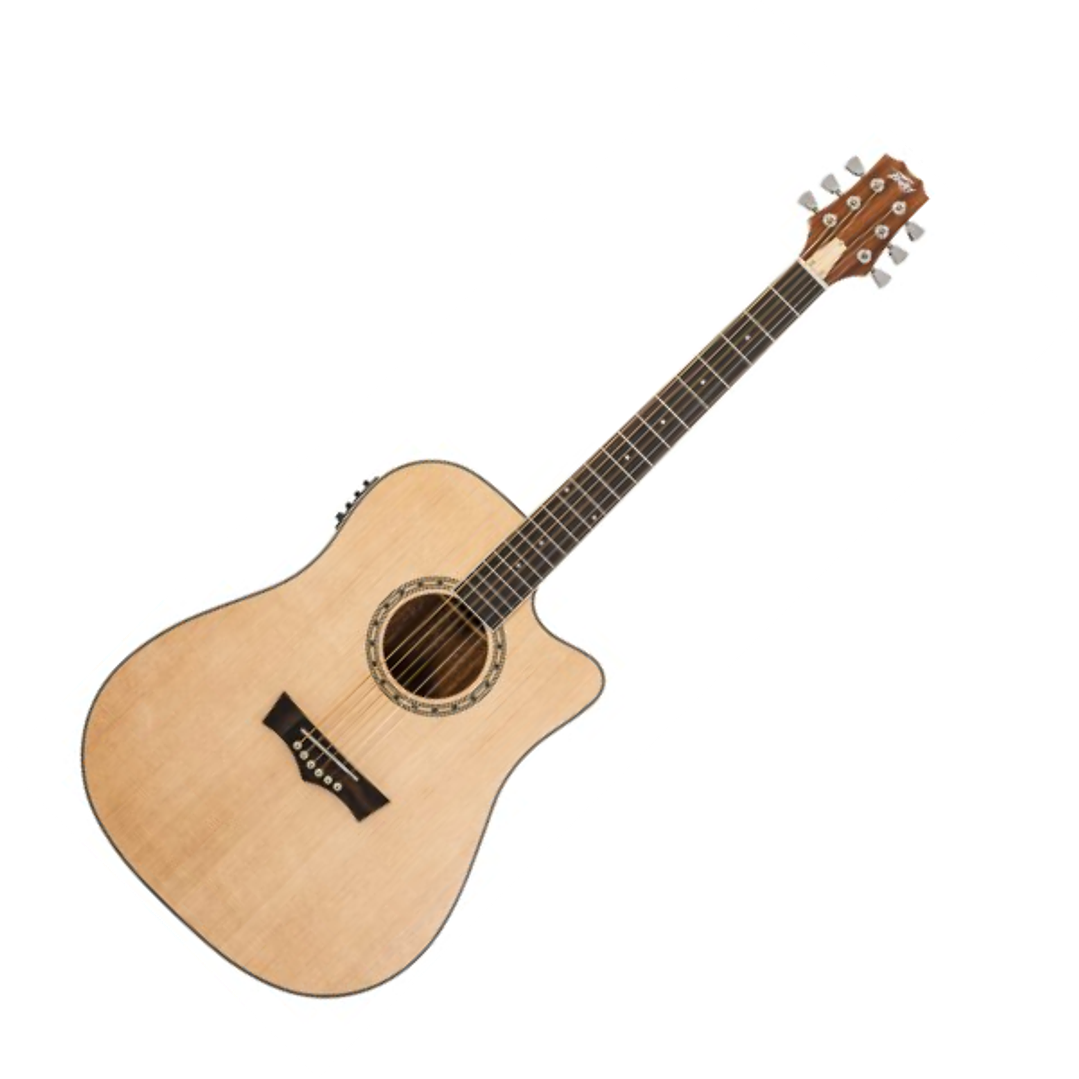 Guitarra Electroacústica - PEAVEY DW 2CE ST con Case 1