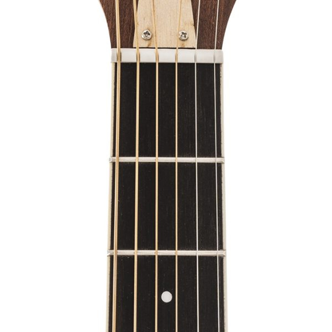 Guitarra Electroacústica - PEAVEY DW 2CE ST con Case 6