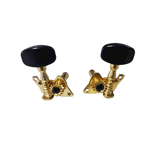 Par de Clavijas - GCR - CLAV1-BK