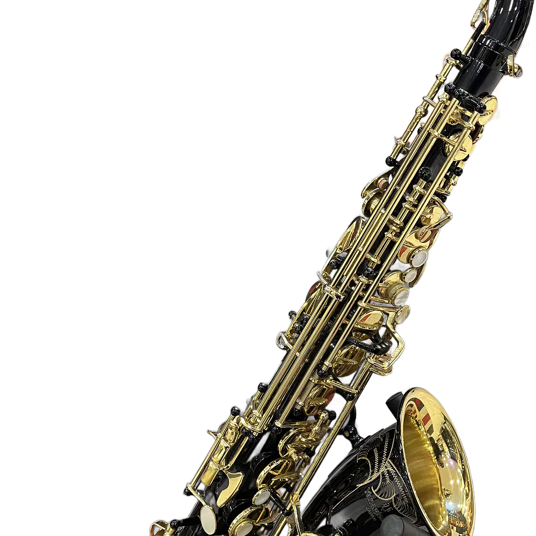 Saxo Alto - Yanagisawa 991 Black - Reacondicionado 2