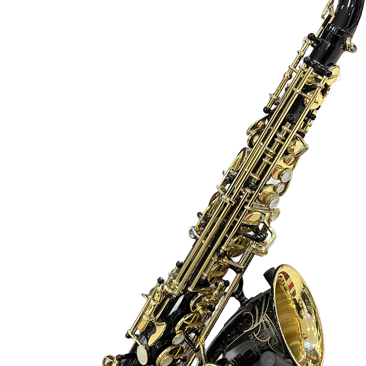 Saxo Alto - Yanagisawa 991 Black - Reacondicionado 2