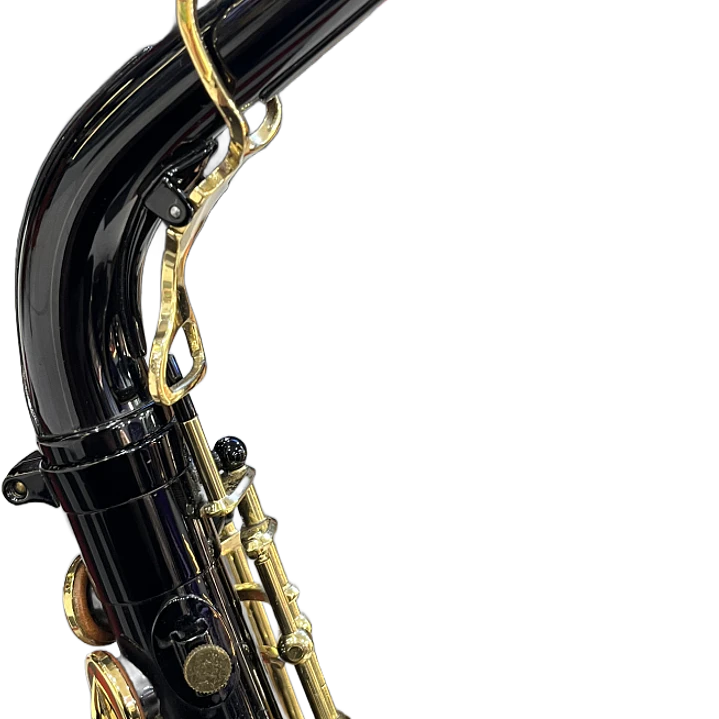 Saxo Alto - Yanagisawa 991 Black - Reacondicionado 8