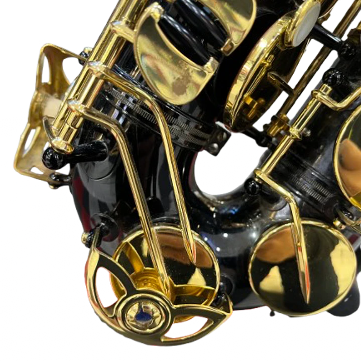 Saxo Alto - Yanagisawa 991 Black - Reacondicionado 9