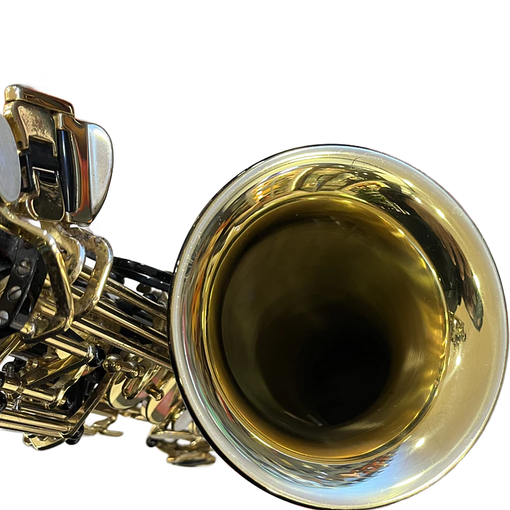 Saxo Alto - Yanagisawa 991 Black - Reacondicionado 12