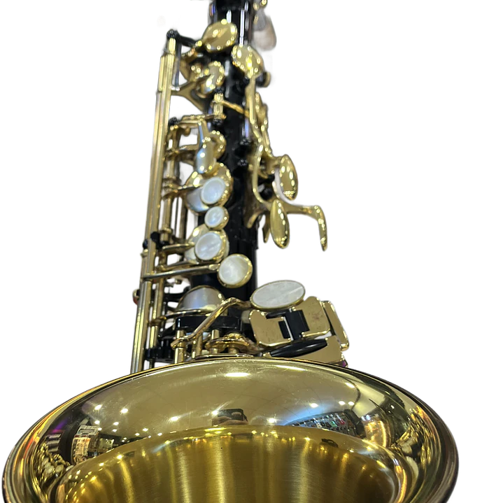 Saxo Alto - Yanagisawa 991 Black - Reacondicionado 13