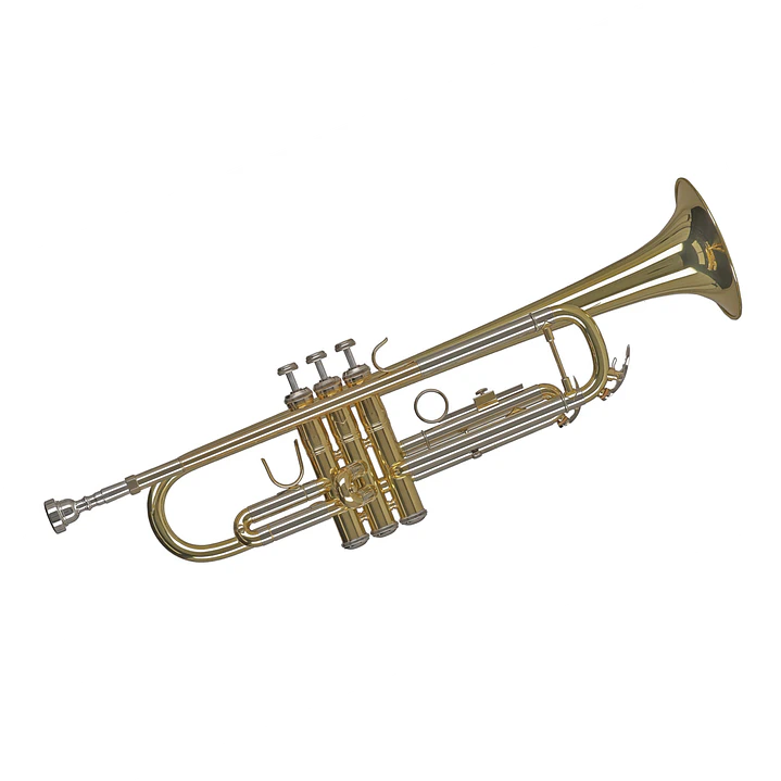 Trompeta - Gewa TR650 1