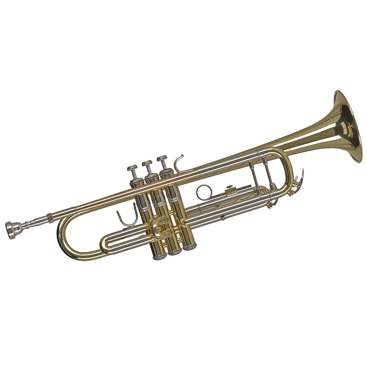 Trompeta - Gewa TR501 1