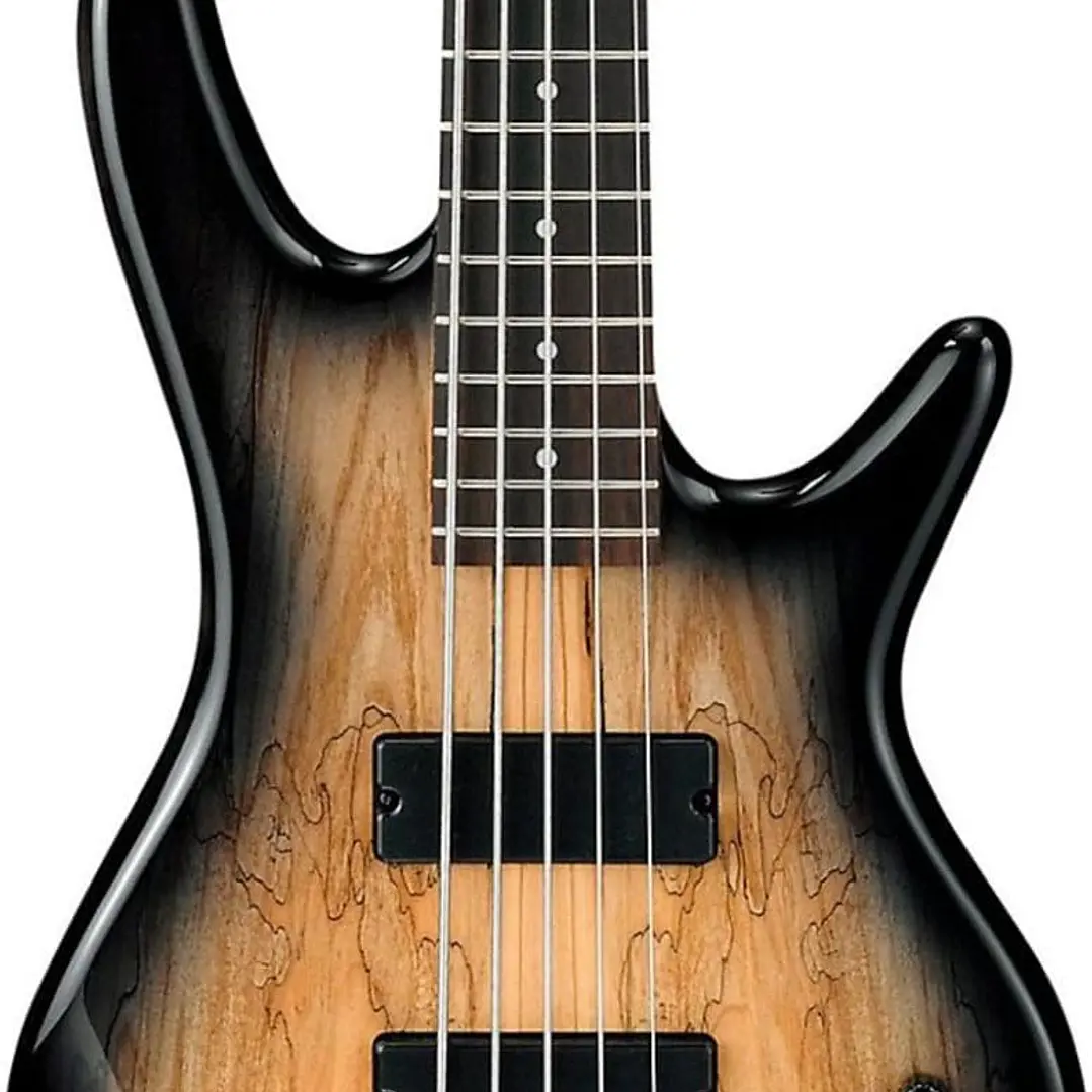 Bajo Eléctrico de 5 Cuerdas - Ibanez GSR205SM NGT 2