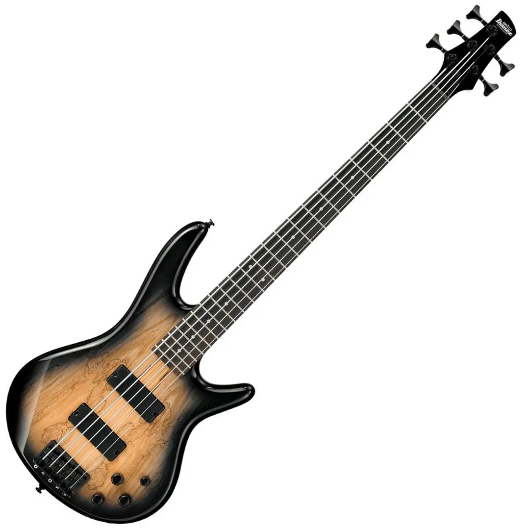 Bajo Eléctrico de 5 Cuerdas - Ibanez GSR205SM NGT 1