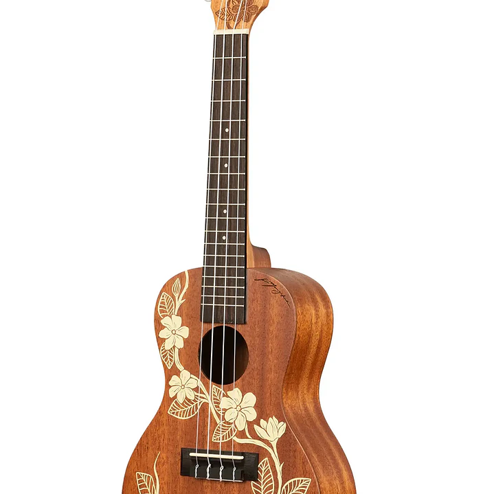 Ukelele Concierto - Kala Gardenia 4
