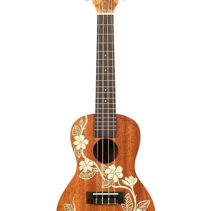 Ukelele Concierto - Kala Gardenia 1