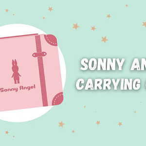 Sonny Angel Carrying Case