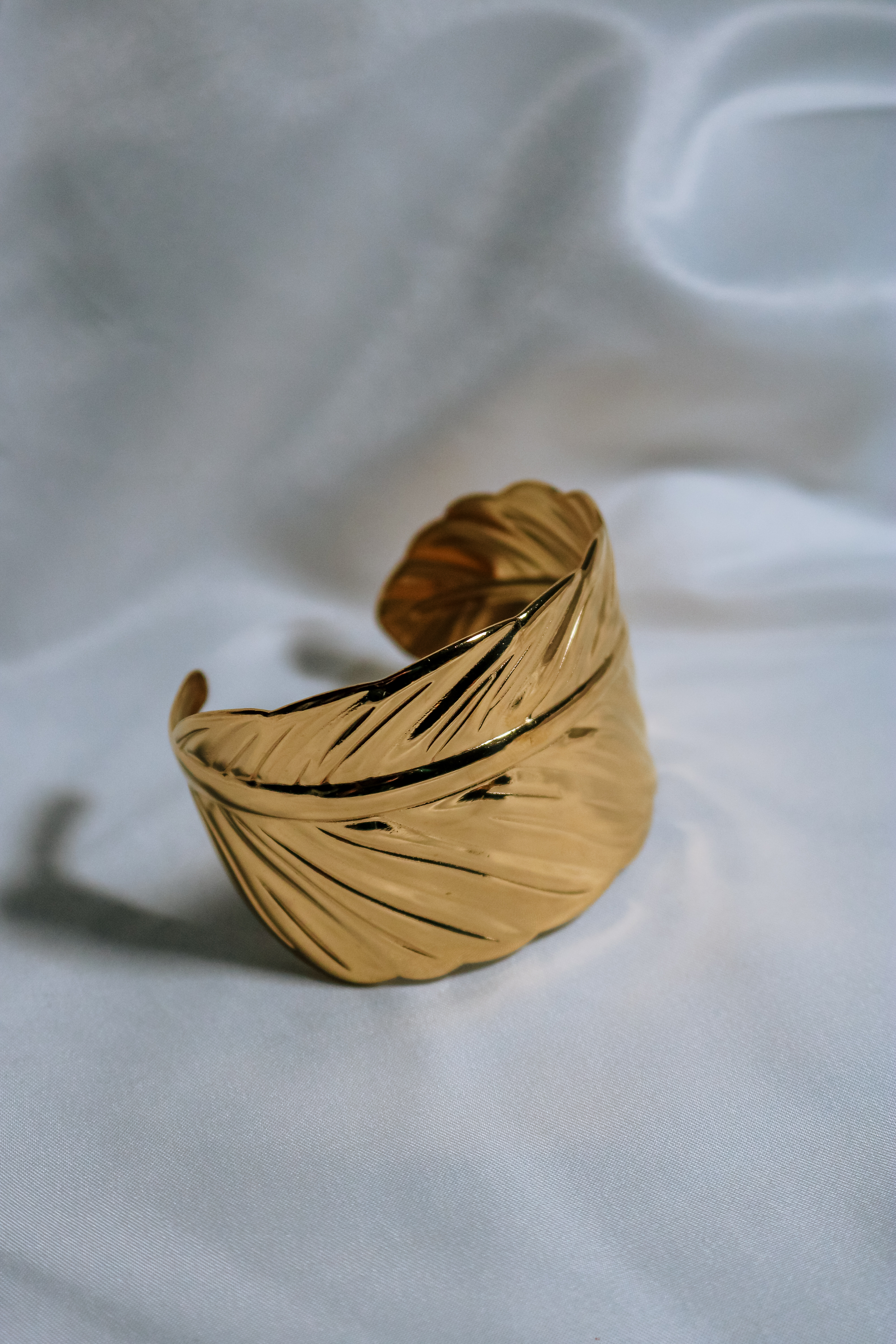 PULSEIRA LARGA - FOLHA 1