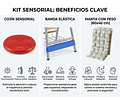 Manta De Peso + Cojín + Banda Elástica Kit Escolar Sensorial Kit Escolar Gris
