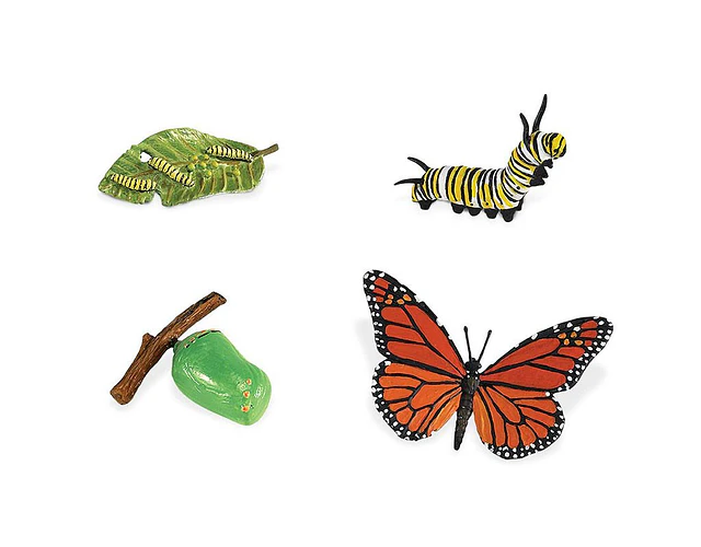 Juego Educativo Ciclo De Vida Animales Montessori Para Niños
