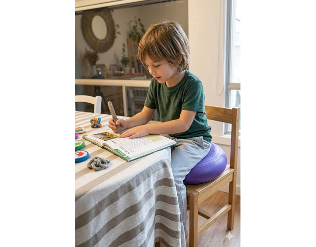 Cojín Asiento Sensorial De Movimiento Activo Autismo Tdah