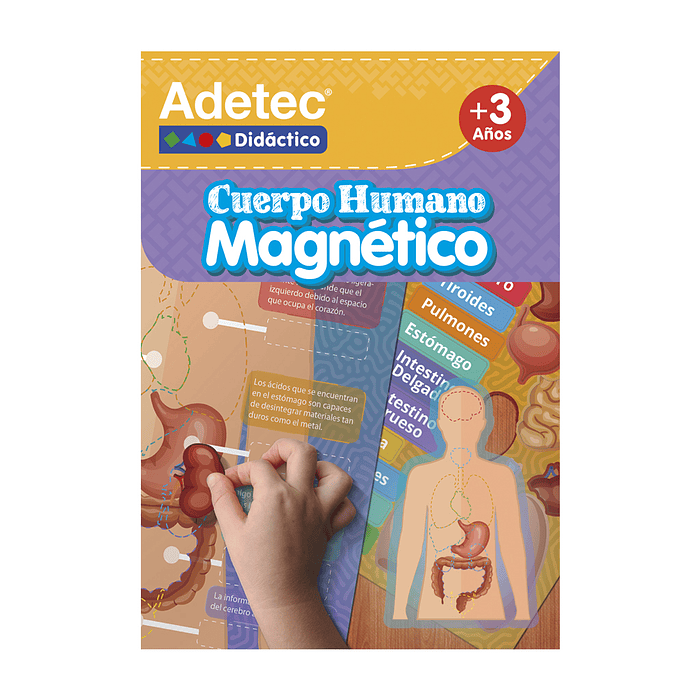 LAMINAS ADETEC DIDACTICO CUERPO HUMANO MAGNETICO +3 AÑOS