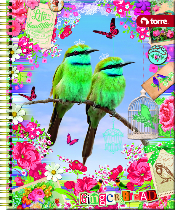 CUADERNO TORRE UNIV. 7mm 100 Hjs  GINGER Y BREAD ( DESC. ) 1