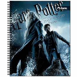 CUADERNO TORRE UNIV. CLASICO 7mm 100 Hjs HARRY POTTER 