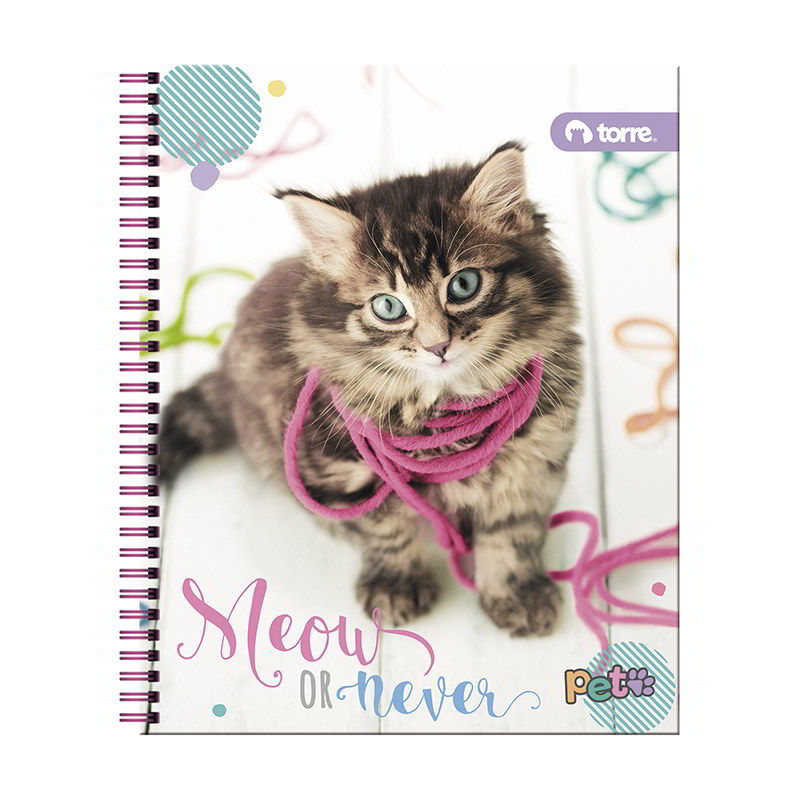 CUADERNO TORRE UNIV. CLASICO 7mm 100 Hjs PET ( DESC. ) 1