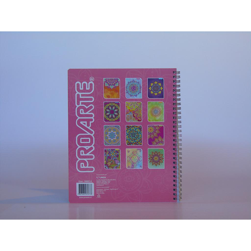 CUADERNO PROARTE UNIV. 7mm 100 Hjs PAINT  1