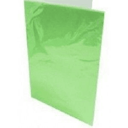 CARPETA PLASTIFICADA C/ACCO CLIP COLOR VERDE CLARO ( CO ) ( CH )