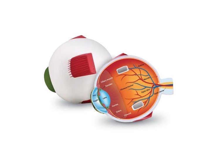 MODELO DE OJO DE GOMA 14CMS. (LER-1907)  1