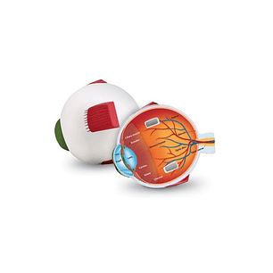 MODELO DE OJO DE GOMA 14CMS. (LER-1907) 