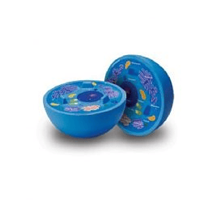 MODELO DE CELULA DE GOMA 14CMS. (LER-1900) +9