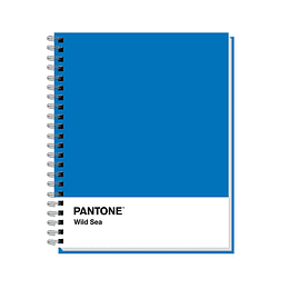 CUADERNO RHEIN UNIV. 7mm 100 Hjs PANTONE TROPICAL FOREST 