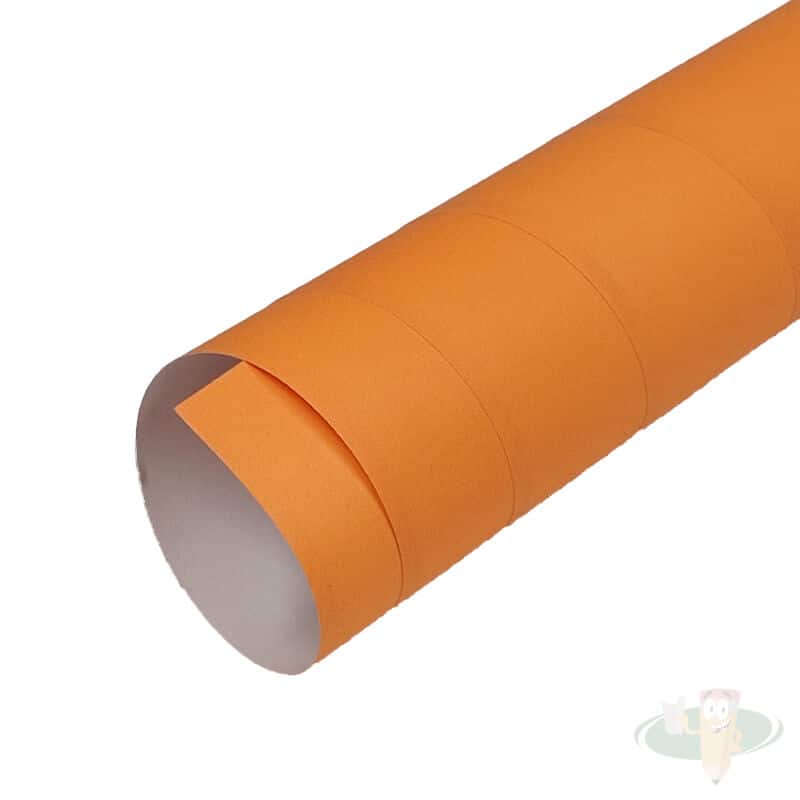 PLIEGO DE CARTULINA PAREDONES DAMASCO 50 X 75 CM 1