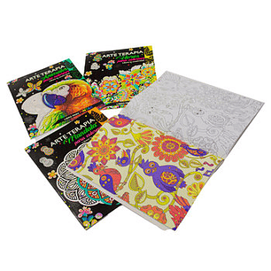 LIBRO JM IMPORT ARTE TERAPIA PARA PINTAR