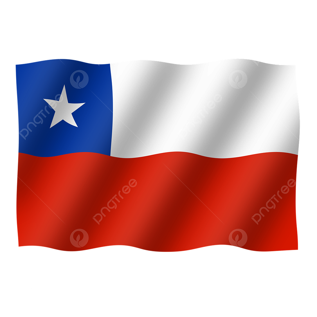 BANDERA DE GENERO CHILENA 135 X 90 CMS. FELIZ GROUP 1 UNID. (420108) 1