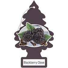 DESODORANTE PINO AUTOMOVIL BLACKBERRY CLOVE 1