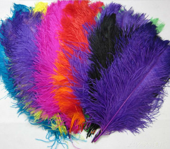 PLUMAS DE COLORES  DIF. MEDIDAS X 12 UNDS. 1