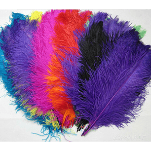 PLUMAS DE COLORES  DIF. MEDIDAS X 12 UNDS.